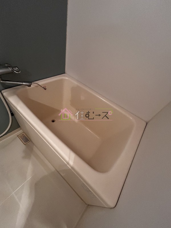 S-RESIDENCE難波Viale 風呂画像