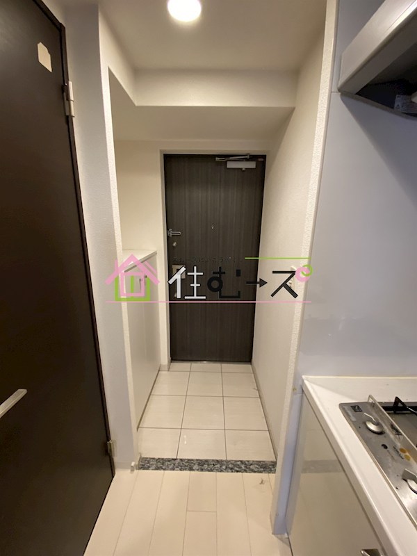 レジュールアッシュ九条 玄関