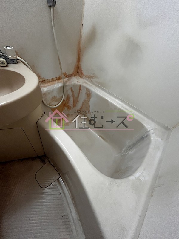 MIRUS　aikawa 風呂画像