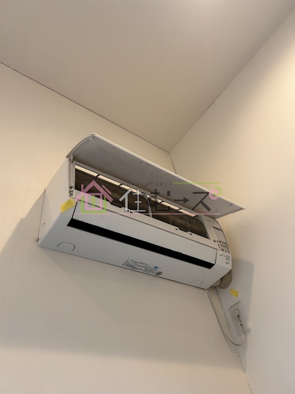 WISTERIA R&amp;amp;T その他3