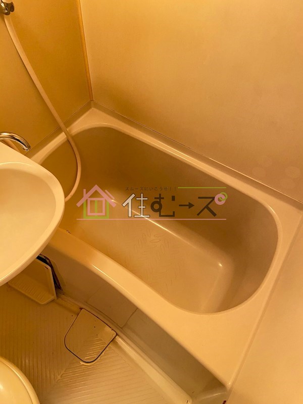 アース湯里 風呂画像