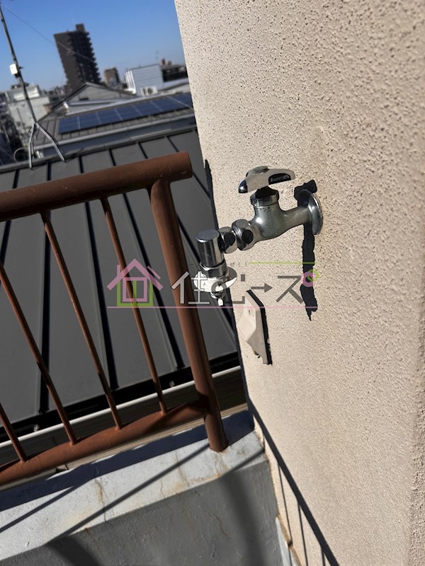 ブランデール平野 その他5