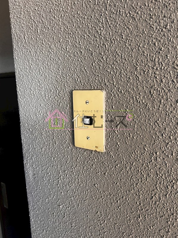 ブランデール平野 その他6