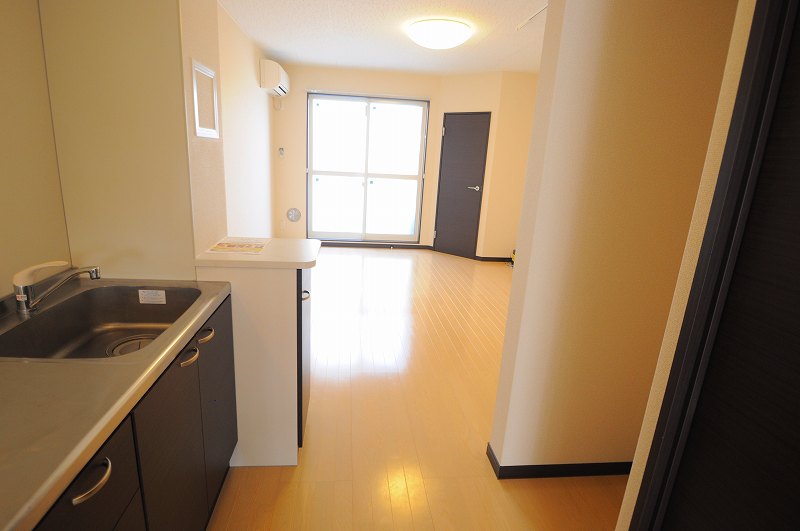 レオネクストリバーサイド柏原 その他16