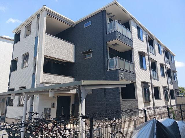 Ｂｏａ　Ｓｏｒｔｅ 外観