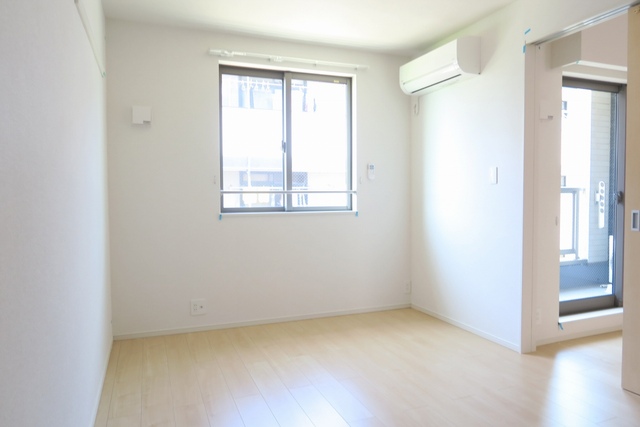 Ｂｏａ　Ｓｏｒｔｅ その他1