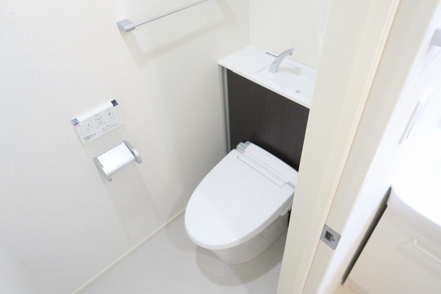 Ｂｏａ　Ｓｏｒｔｅ その他3