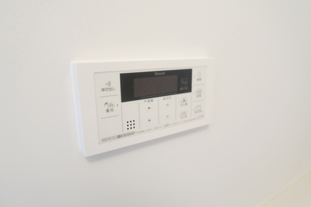 Ｂｏａ　Ｓｏｒｔｅ その他7