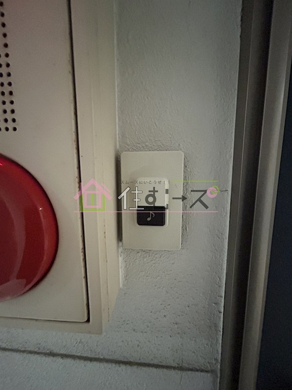 PANSHON　CLEAR その他5