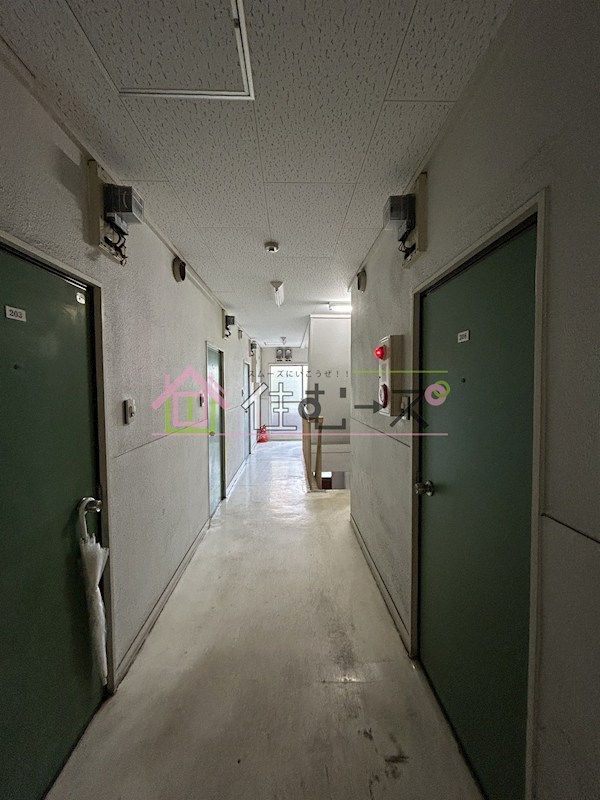 PANSHON　CLEAR その他外観4