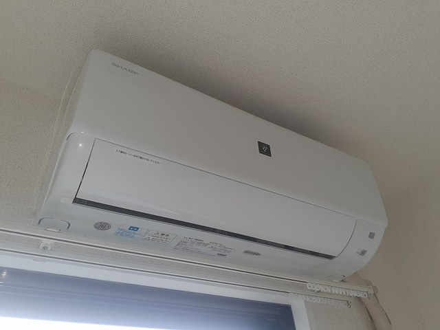 ソルジェンテ金剛 その他3