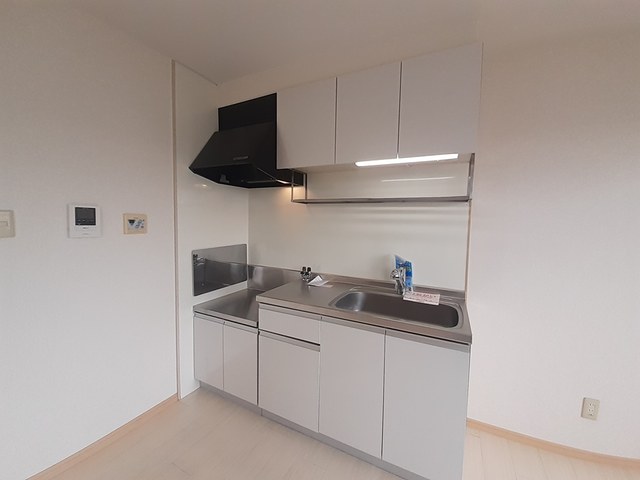 ソルジェンテ金剛 キッチン