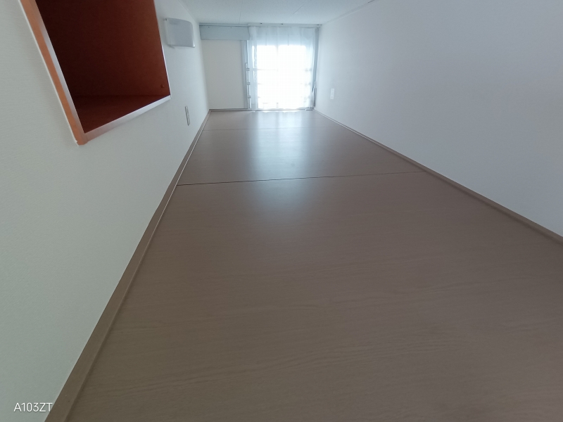 レオパレスフローリッシュ その他9