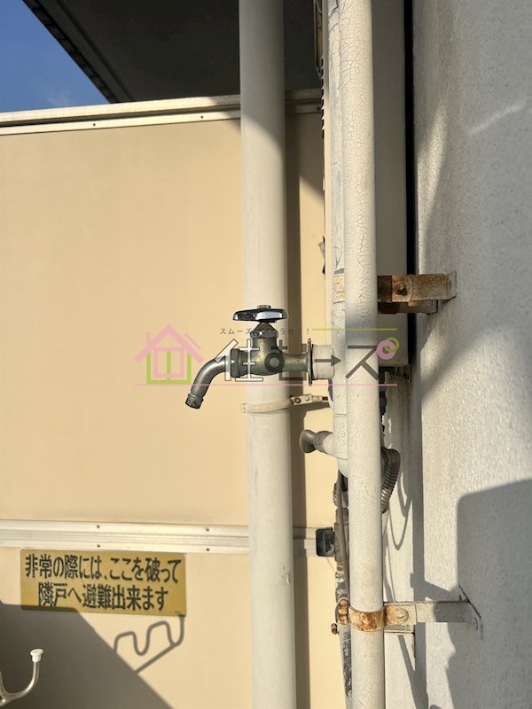 エクセレント上新6 その他5