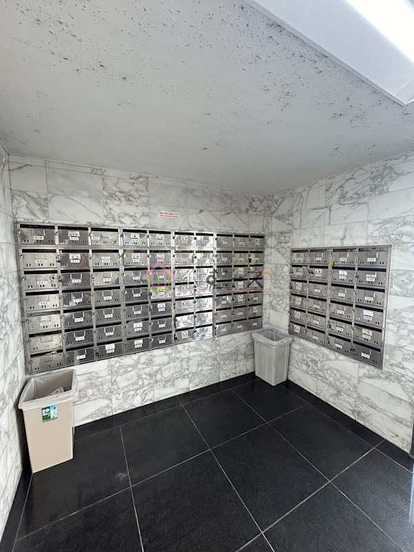 エクセレント上新6 その他外観4