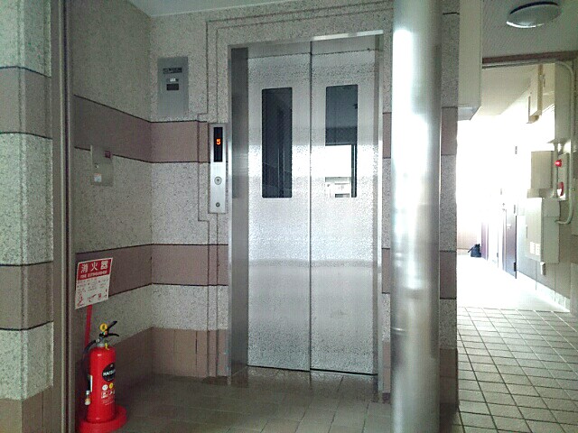 プリムローズＨＹ１ その他6