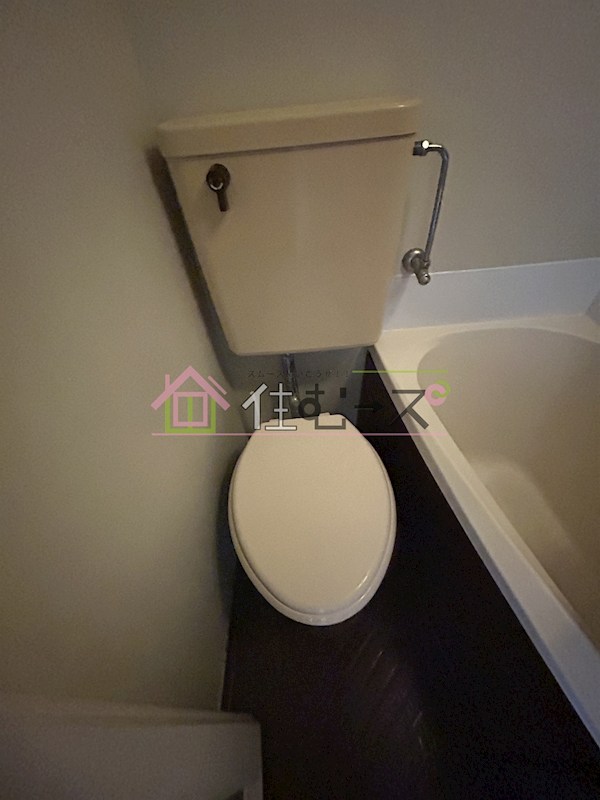 スピインス その他5