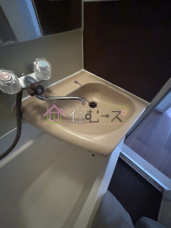 スピインス その他6