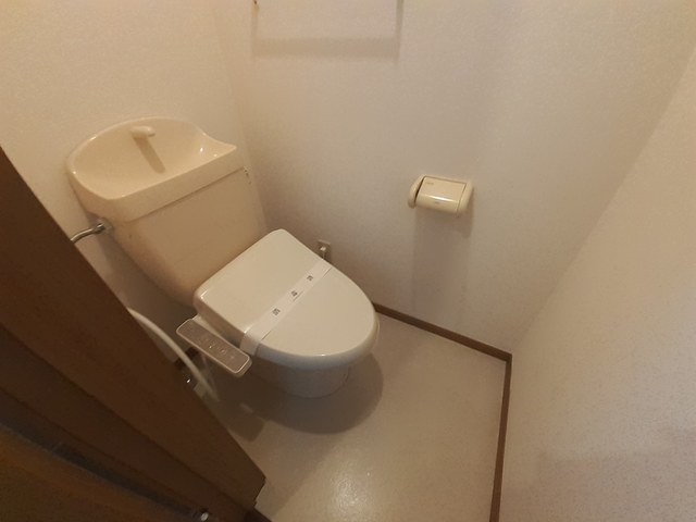 コスモスＢ その他2