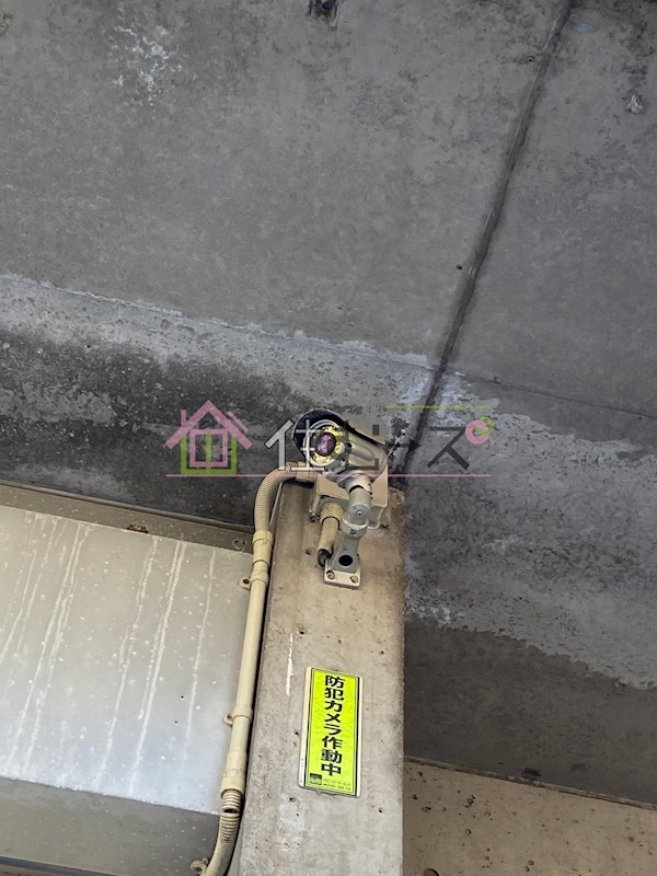 デイズハイツ三先 その他外観3