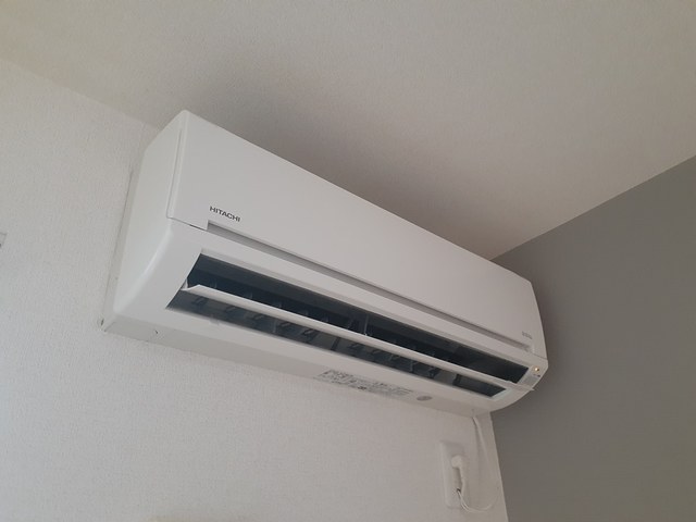 フレ　フュチュール その他3