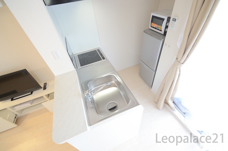 レオネクストルナ その他12