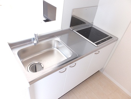 レオネクストルナ キッチン