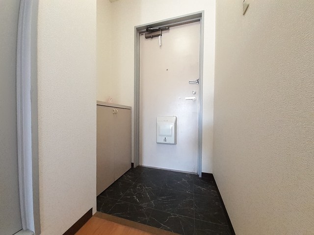 ルミナスマンション 玄関