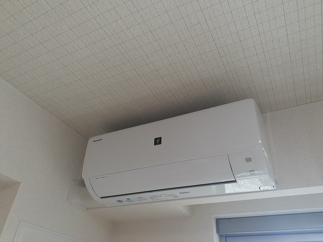 ポルチュラーカ その他3