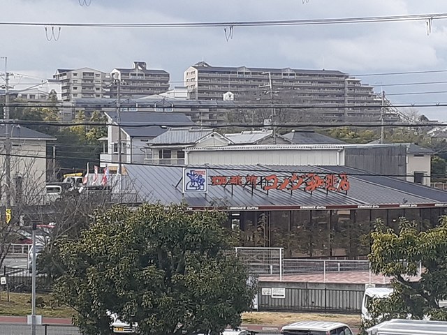 ポルチュラーカ その他外観5