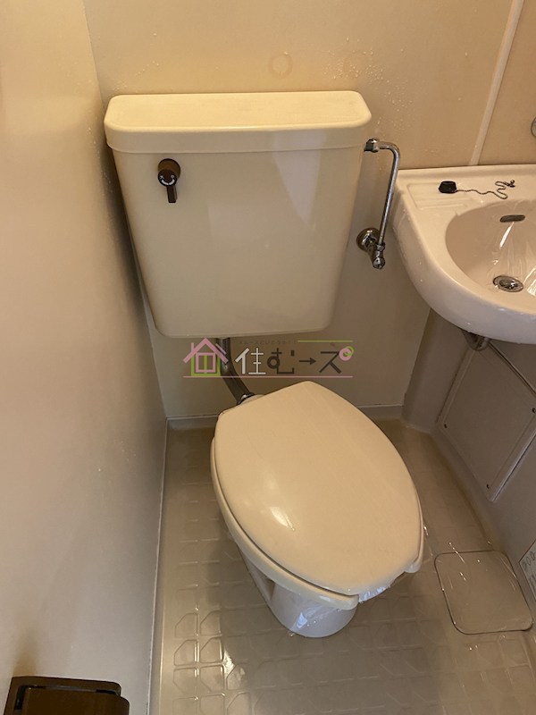 ルネッサンスロザリア その他3