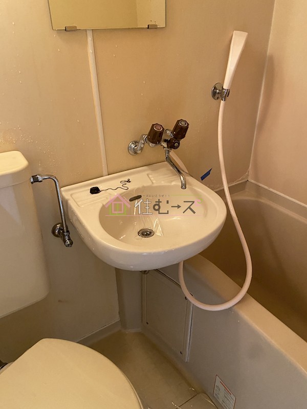 ルネッサンスロザリア その他4