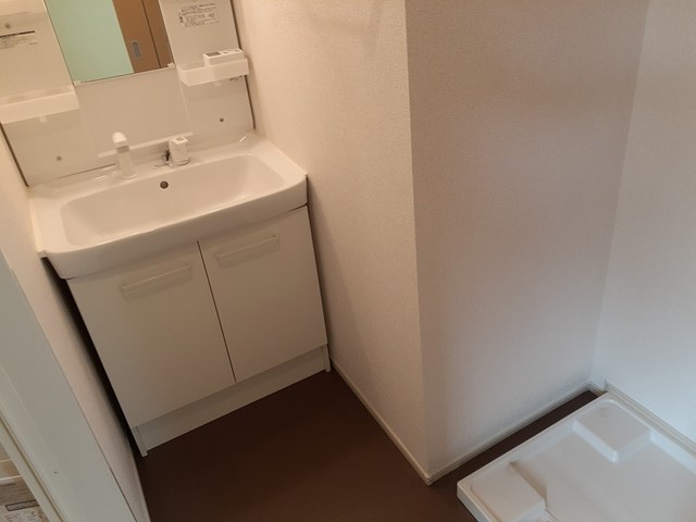 セントーレア その他2