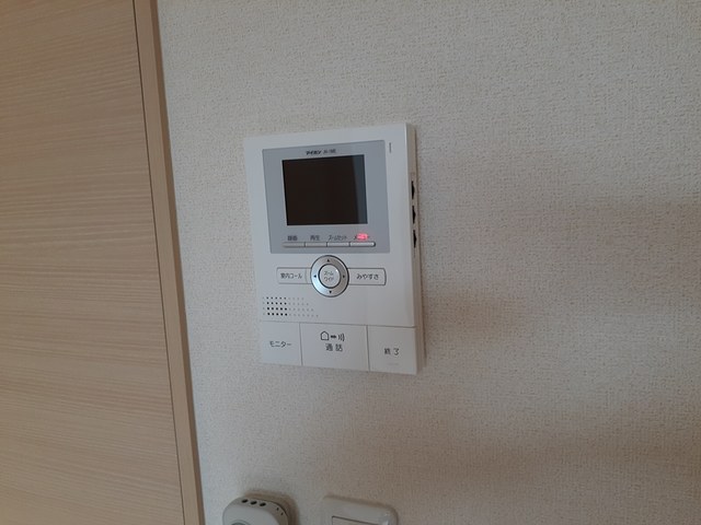 セントーレア その他5