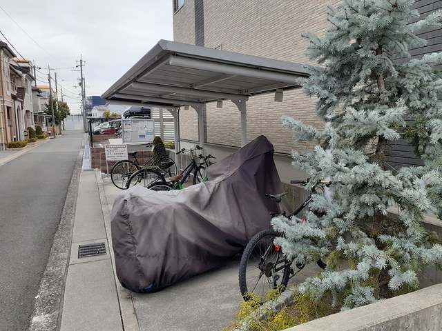 セントーレア その他7