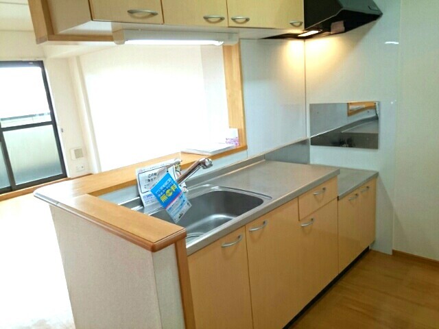 サンウィングスⅠ キッチン