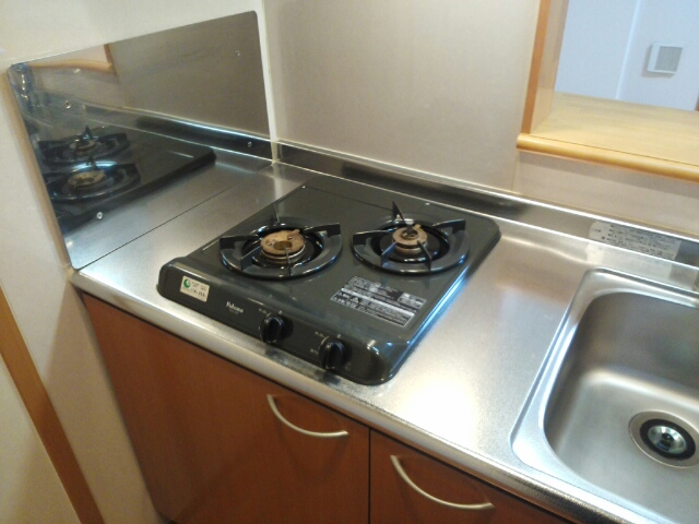 フロールマリポッサ その他4