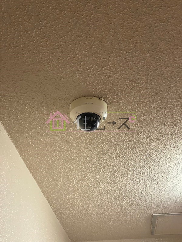 中之島ロイヤルハイツA その他外観4