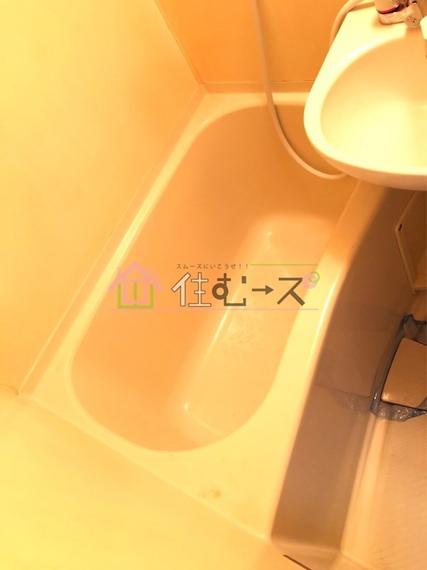 デイルーチェ上新庄 風呂画像