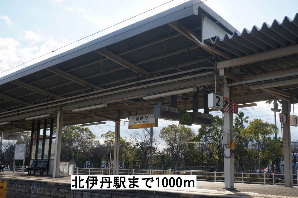 エル・セルリア その他外観6