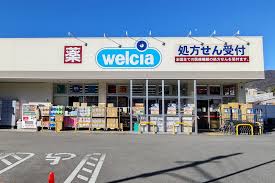 ブリランテ苦楽園 周辺画像5