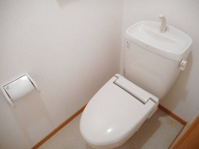 シェーネ　エレガンシア その他2