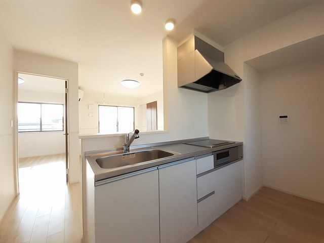 ゼフィランサス その他1