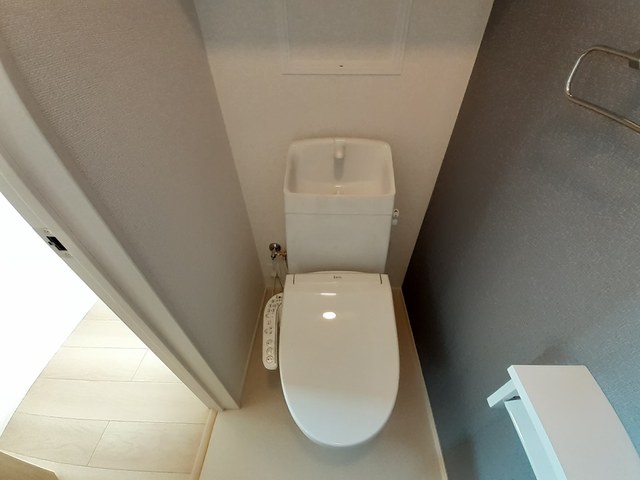 ゼフィランサス その他3