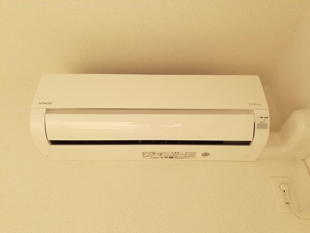 ゼフィランサス その他4