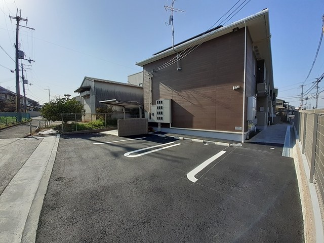 ゼフィランサス その他6