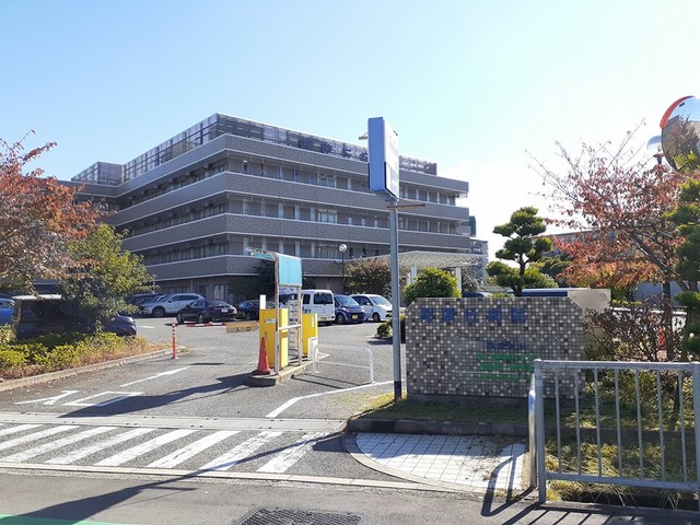 ゼフィランサス その他外観2