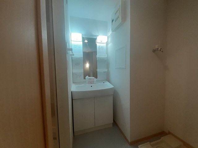 クリプトメリア　アヴェニュ－ その他1