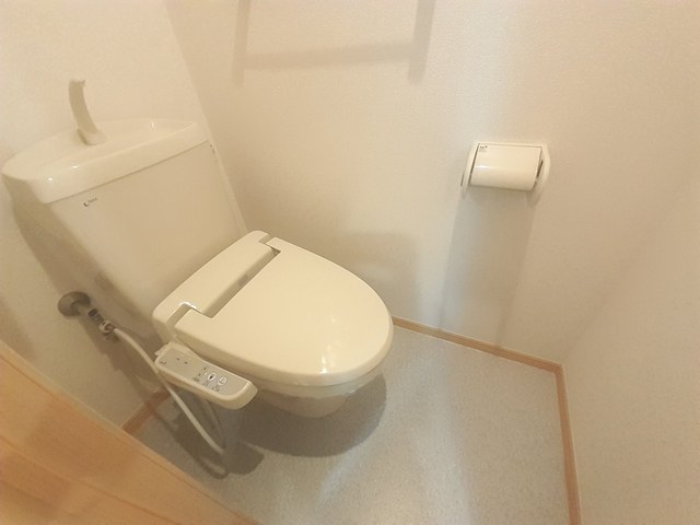 クリプトメリア　アヴェニュ－ その他2