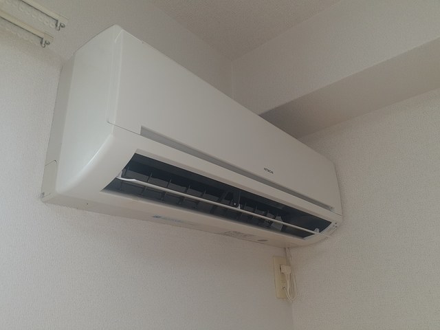 クリプトメリア　アヴェニュ－ その他3